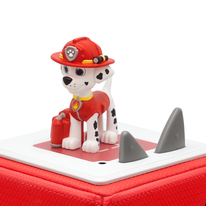 Ryder Paw Patrol Personalised Gift Colour Changing LED Lamp Night