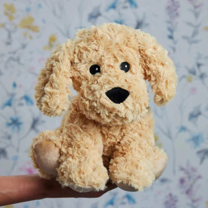 Picture showing a Warmies Cockapoo soft toy. Scented, warming, sensory toys sold by Mabel & Fox.