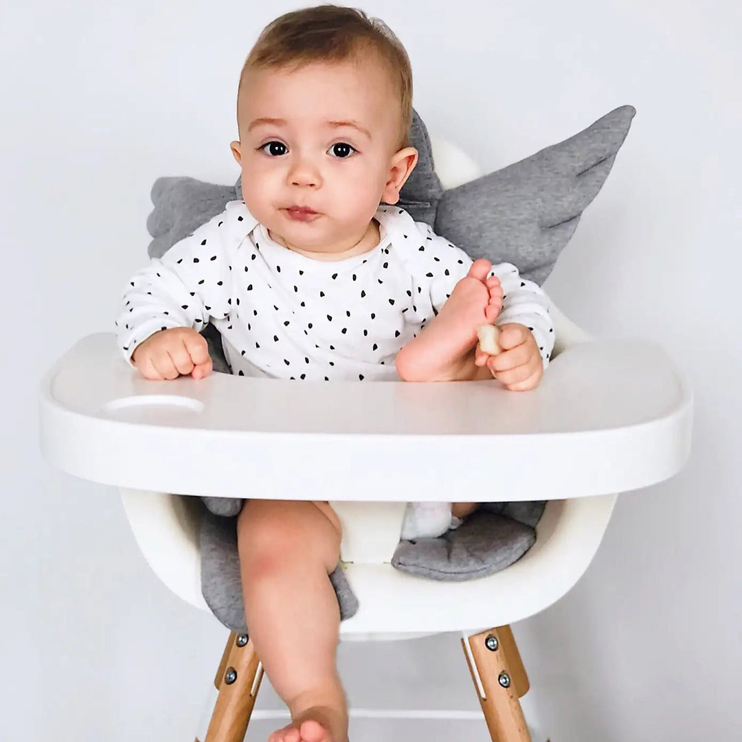 High Chairs & Accessories