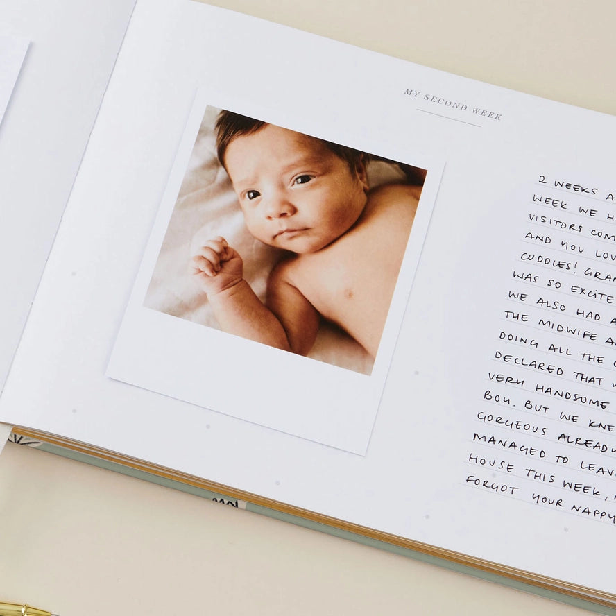 Blush & Gold - Baby Memory Book - Dino