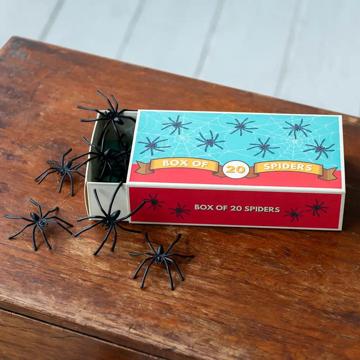 Rex London - Box Of 20 Spiders