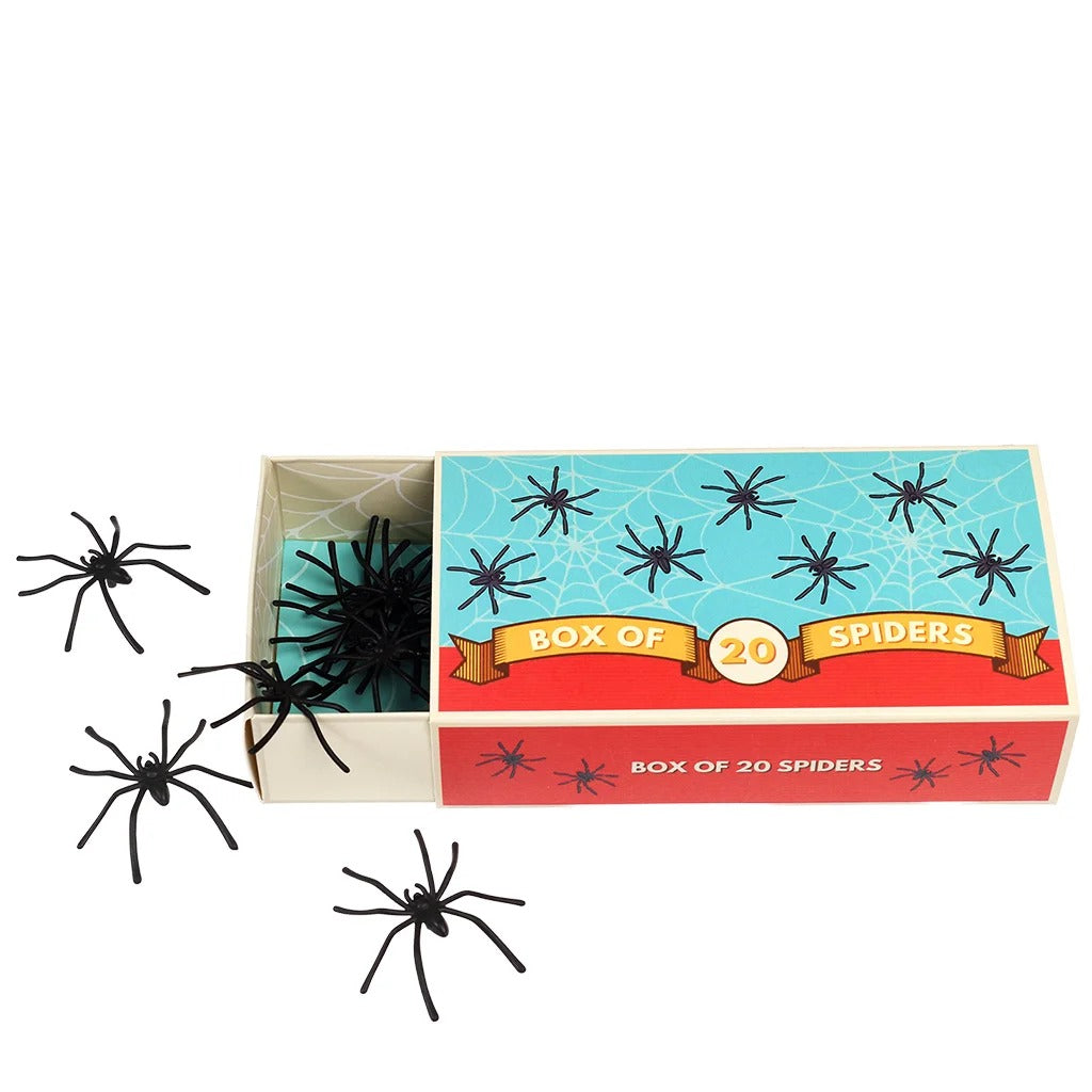 Rex London - Box Of 20 Spiders