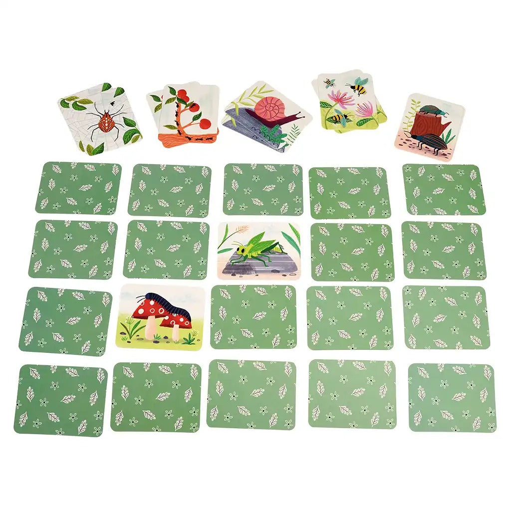 Rex London - Memory Game - Wonders of Nature - (30 pieces)