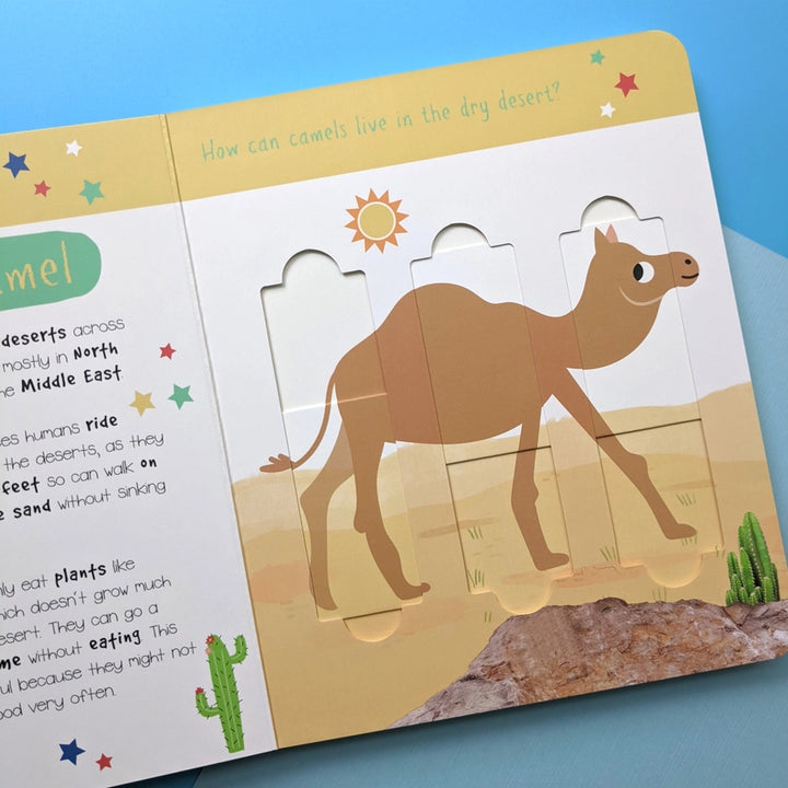 Little Wonders Puzzle Slider Book - Desert Animals