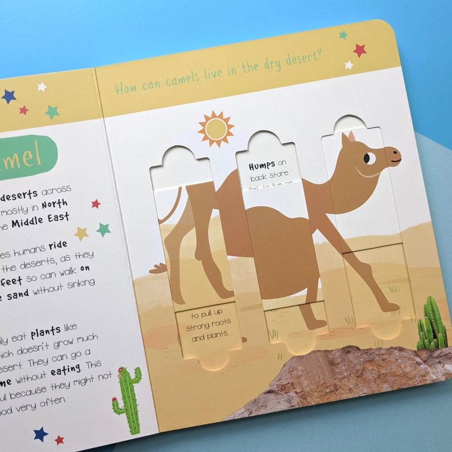 Little Wonders Puzzle Slider Book - Desert Animals