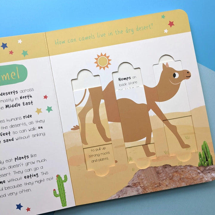 Little Wonders Puzzle Slider Book - Desert Animals