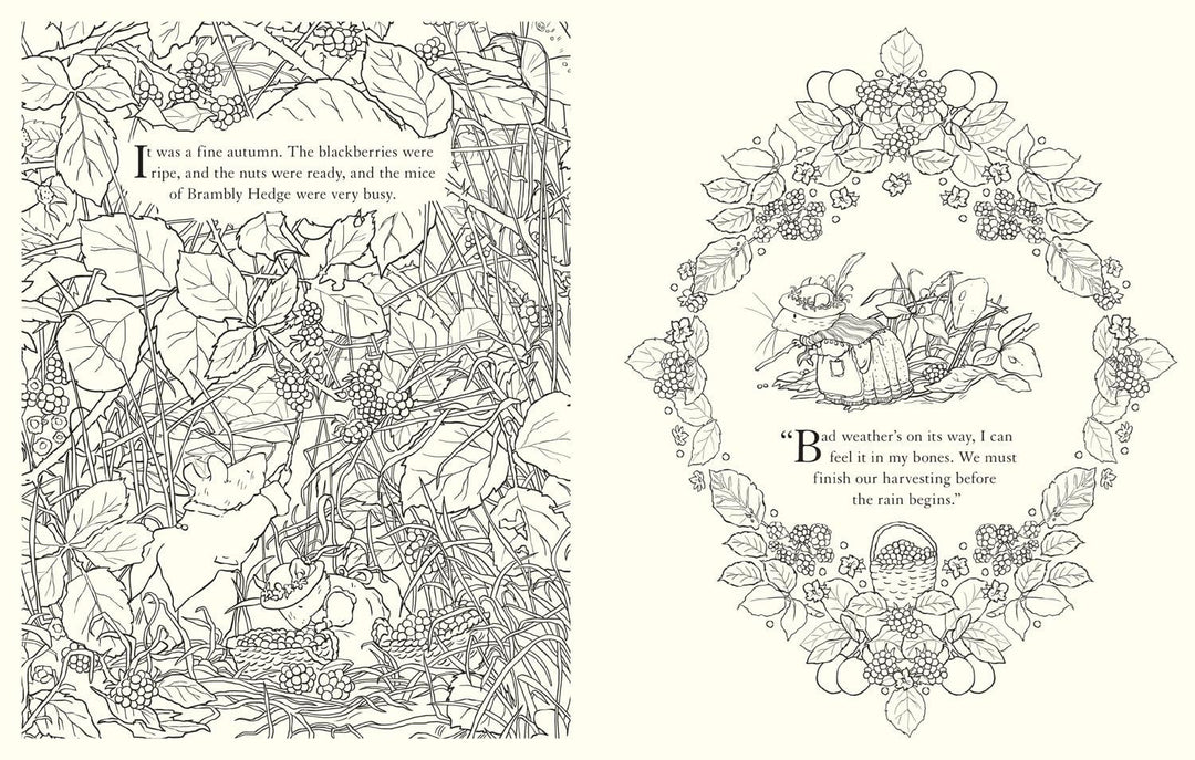 Festive Colouring Book: Brambly Hedge