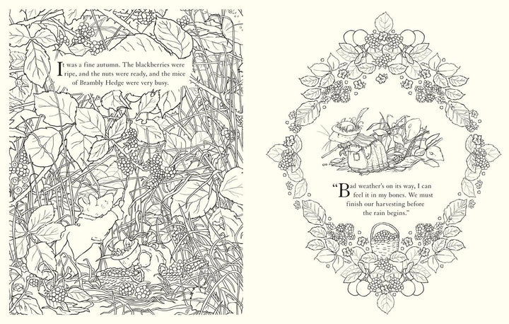 Festive Colouring Book: Brambly Hedge