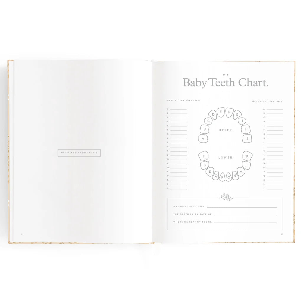 Fox & Fallow - Baby Book - Cedarwood - Mabel & Fox