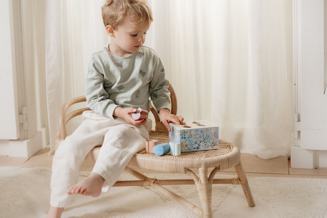 Little Dutch - Shape Sorter - Forest Friends