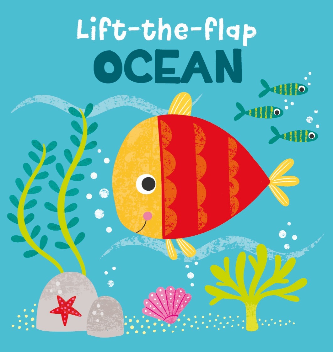 Lift the Flap Book - Ocean