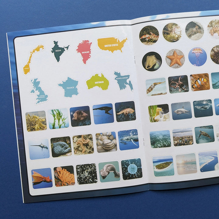 Sticker Book - Discover Oceans - Mabel & Fox