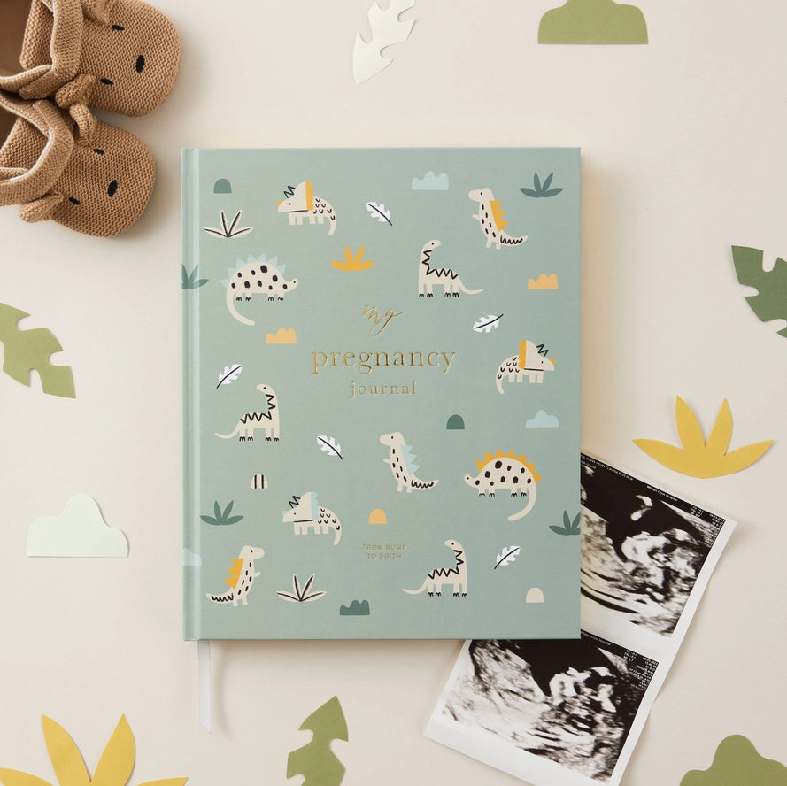 Blush & Gold - Pregnancy Journal - Dino