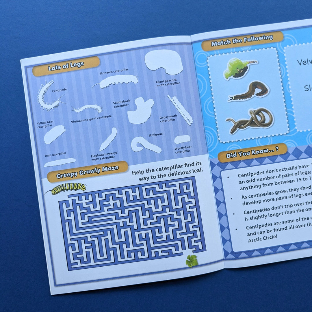 Sticker Book - Discover Bugs