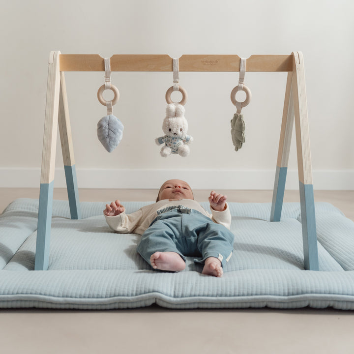 Little Dutch x Miffy - Baby Play Gym - Lucky Leaves - Mabel & Fox